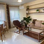 Rent 4 bedroom apartment in Alicante