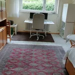 1 Zimmer-Wohnung in Baden-Baden, möbliert, auf Zeit (Nr. 8191) | tempoFLAT.de