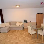 Rent 1 bedroom house of 49 m² in Bonn