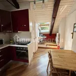 Rent 1 bedroom apartment of 30 m² in Turin