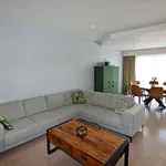 Rent 2 bedroom apartment in Maaseik