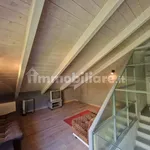 Rent 3 bedroom apartment of 100 m² in Turin