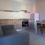 Rent 1 bedroom apartment of 40 m² in Colorno