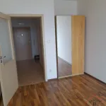 Rent 2 bedroom apartment of 59 m² in Prague