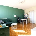 Rent 2 bedroom apartment of 36 m² in Łódź