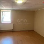 Pronajměte si 2 ložnic/e byt o rozloze 65 m² v Všejany