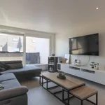 Rent 2 bedroom apartment in Sint-eloois-Winkel