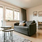 Rent 1 bedroom apartment of 50 m² in Celle