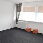 Rent 1 bedroom apartment of 27 m² in Hradec Králové