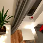 Rent a room in katowice