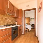 Rent 1 bedroom apartment of 55 m² in rome