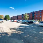 Rent 1 bedroom apartment in Niagara Falls