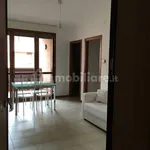 Rent 3 bedroom apartment of 60 m² in Bologna