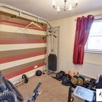 Rent 2 bedroom flat in Sunderland