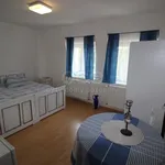 Rent 1 bedroom house of 100 m² in Doksy