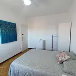 Rent a room in madrid