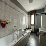 Rent 2 bedroom apartment of 65 m² in Novara