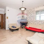 Rent 3 bedroom apartment of 76 m² in Caltagirone