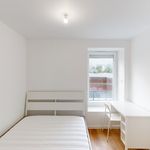 Rent 6 bedroom apartment of 9 m² in Brest