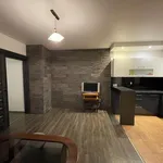 Rent 2 bedroom apartment of 48 m² in Rzeszów