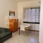 Rent 2 bedroom apartment of 50 m² in Monza