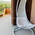 3-room flat via Arlini 33, Pineto