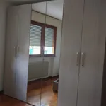 Rent 1 bedroom apartment of 80 m² in aviano