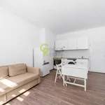 Rent 1 bedroom apartment of 37 m² in Prague