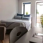 Rent 1 bedroom apartment in Exeter