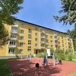 Rent 2 bedroom apartment in Vsetín