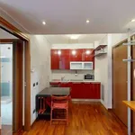 Rent 1 bedroom house of 45 m² in Milan