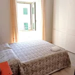 Rent 3 bedroom apartment of 80 m² in Roma