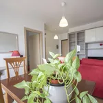 Rent 1 bedroom apartment in Milano