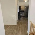 Rent 5 bedroom apartment of 130 m² in Nižbor