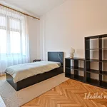 Rent 4 bedroom apartment of 135 m² in Brno