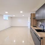 Rent 1 bedroom apartment of 50 m² in Prague