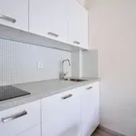 Rent 1 bedroom apartment in Brno