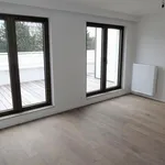 Rent 1 bedroom apartment in Ghent