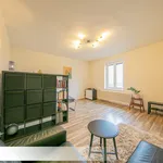 Rent 1 bedroom apartment in Ostrava