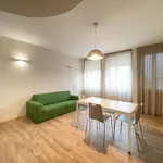 Rent 1 bedroom apartment of 65 m² in Fiorenzuola d'Arda