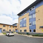 Rent 1 bedroom student apartment in Cheltenham