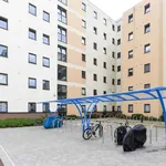 Rent 1 bedroom student apartment of 27 m² in Swansea