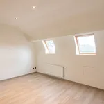 Rent 4 bedroom house in Tongeren