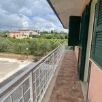 Rent 3 bedroom apartment of 66 m² in Zagarolo