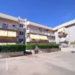 Rent 3 bedroom apartment of 45 m² in Terracina