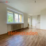 Rent 2 bedroom apartment of 40 m² in Ostrava