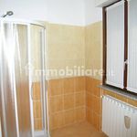 Rent 2 bedroom apartment of 60 m² in Novara