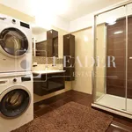 Rent 3 bedroom apartment of 150 m² in Bucuresti