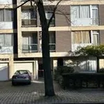 Rent 4 bedroom apartment in Ixelles - Elsene