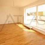 Rent 5 bedroom house of 300 m² in Prague